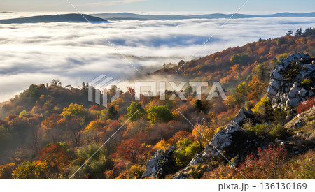 秋の山間に浮かぶ雲海 136130169