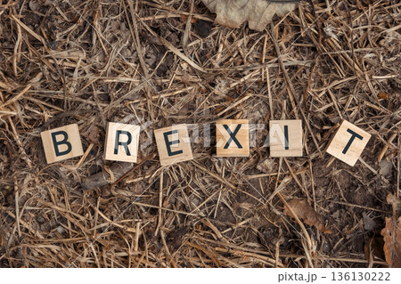 The image is of a pile of wood letters spelling out the word Brexit The image is of a pile of wood letters spelling out the word Brexit 136130222