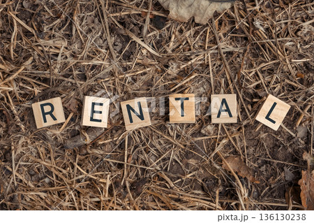 Wooden letter tiles spelling rental on a textured ground of dry grass and leaves 136130238