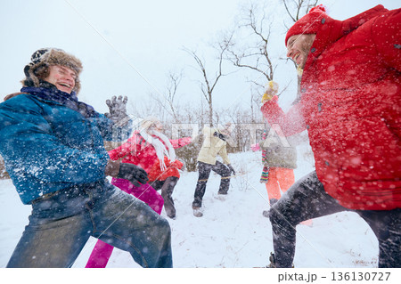 Friends enjoying energetic snowball fight in winter landscape. 136130727