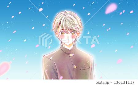 学ランの男子学生　恋　桜吹雪　青空 136131117