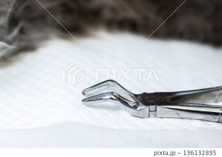 Stainless steel instrument on gauze. Closeup of oral surgical instrument on sterile gauze Stainless steel instrument on gauze. Closeup of oral surgical instrument on sterile gauze 136132895
