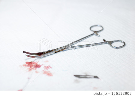 Handson training emphasizing sterile practices and precise instrument management 136132903