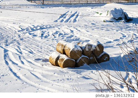 Chilly rural view. Calm winter scene showcasing frostkissed farm with hay and gentle shadows 136132912