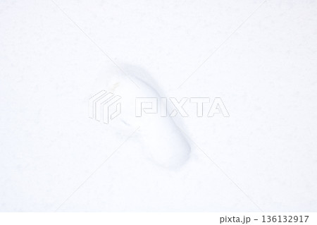 Solitary footprint in fresh snow evokes mystery and tranquility in winter landscape 136132917