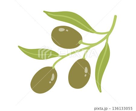 Olive branch with fruits 136133055