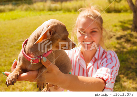 Woman playing pinscher ratter dog outside 136133078