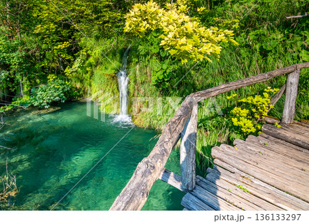 Wooden footpath at Plitvice national park, Croatia. Pathway in the forest near the lake and waterfall. Fresh beautiful nature, peaceful place. Famous tourist destination. Wooden footpath at Plitvice national park, Croatia. Pathway in the forest near the lake and waterfall. Fresh beautiful nature, peaceful place. Famous tourist destination. 136133297