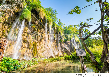 Beautiful waterfalls and lakes at Plitvice national nature park, Croatia. Fresh water stream in peaceful nature. Harmony and meditation, concept of peace and meditation in nature. Beautiful waterfalls and lakes at Plitvice national nature park, Croatia. Fresh water stream in peaceful nature. Harmony and meditation, concept of peace and meditation in nature. 136133300