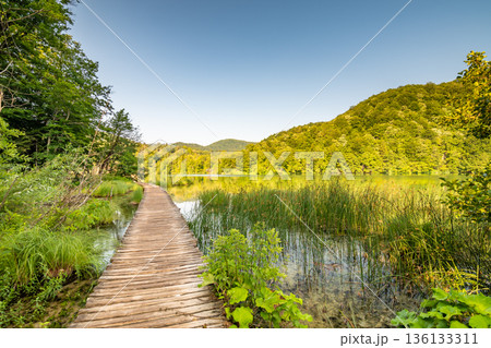Wooden footpath at Plitvice national park, Croatia. Pathway in the forest near the lake and waterfall. Fresh beautiful nature, peaceful place. Famous tourist destination. Wooden footpath at Plitvice national park, Croatia. Pathway in the forest near the lake and waterfall. Fresh beautiful nature, peaceful place. Famous tourist destination. 136133311