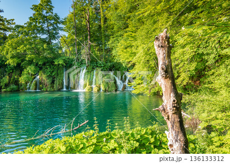 Beautiful waterfalls and lakes at Plitvice national nature park, Croatia. Fresh water stream in peaceful nature. Harmony and meditation, concept of peace and meditation in nature. Beautiful waterfalls and lakes at Plitvice national nature park, Croatia. Fresh water stream in peaceful nature. Harmony and meditation, concept of peace and meditation in nature. 136133312