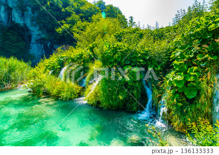 View of waterfall at Plitvice lakes, Croatia. Panoramic view of fresh nature, blue water and green trees. 136133333