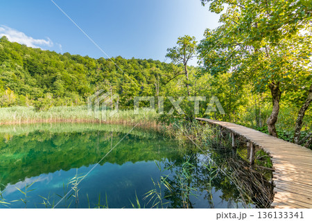 Wooden footpath at Plitvice lakes, Croatia. Road in the forest near beautiful lakes. Peaceful place in national park. Wooden footpath at Plitvice lakes, Croatia. Road in the forest near beautiful lakes. Peaceful place in national park. 136133341