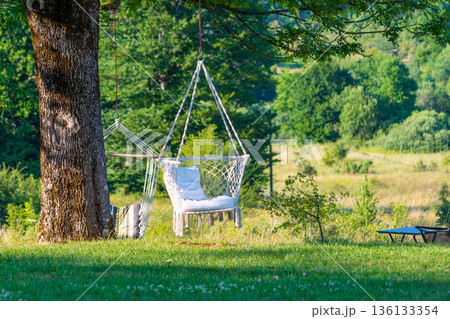 White chair is hanging on the tree. Concept of relaxation in the nature and garden. 136133354