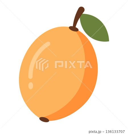 Single Orange Loquat Fruit with Leaf, Flat Design Illustration 136133707