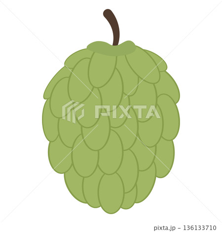 Whole Custard Apple Fruit, Flat Design Illustration Whole Custard Apple Fruit, Flat Design Illustration 136133710