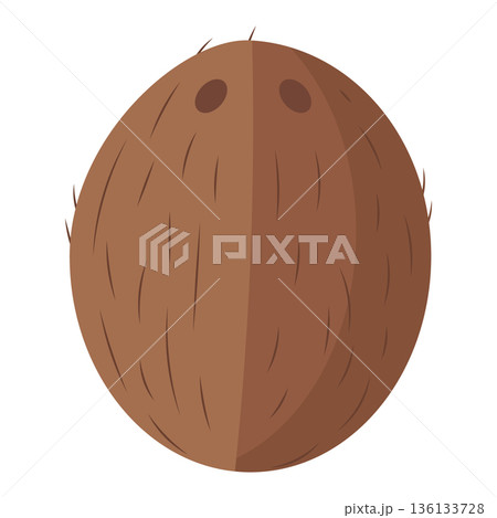 Whole brown coconut with textured shell and two characteristic eyes, flat vector illustration 136133728