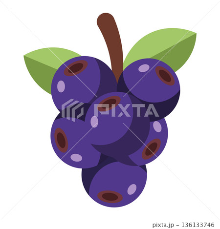 Cluster of dark purple blueberries with green leaves, healthy fruit illustration, simple flat design, isolated 136133746