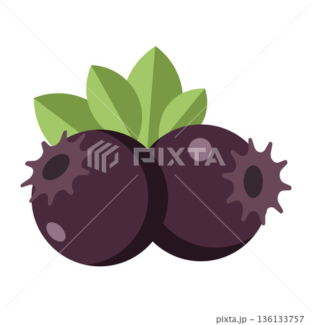 Two dark blue blueberries with leaves, simple flat illustration, isolated on white. 136133757