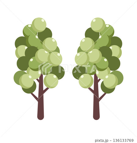Stylized cartoon trees with green foliage, isolated on white background, simple flat design illustration. Stylized cartoon trees with green foliage, isolated on white background, simple flat design illustration. 136133769