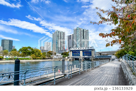 遠く高層ビルと水門が並ぶ天王洲アイル 遠く高層ビルと水門が並ぶ天王洲アイル 136133929