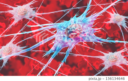 Fibroblast Cell Fibroblast Cell 136134646