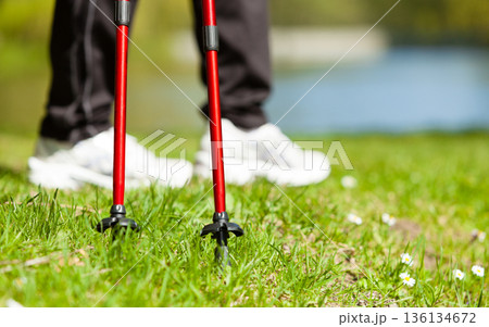 Nordic walking. Female legs hiking in the park. Nordic walking. Female legs hiking in the park. 136134672