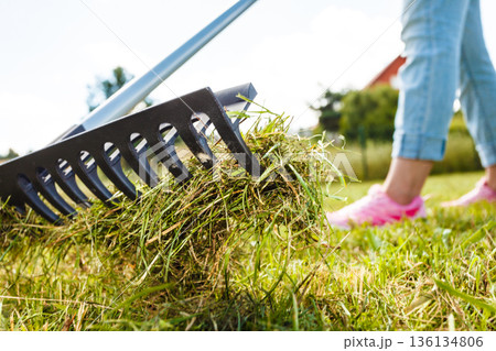 Person raking leaves 136134806