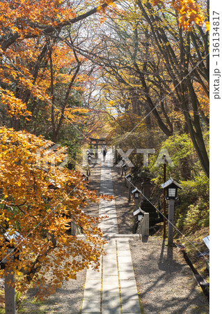 那須温泉神社の鳥居と紅葉 那須温泉神社の鳥居と紅葉 136134817