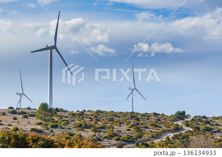 Wind turbine plant, power generator Wind turbine plant, power generator 136134933