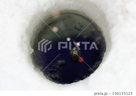 釣れたワカサギ 136135123