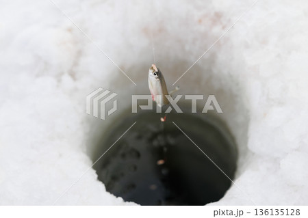 釣れたワカサギ 釣れたワカサギ 136135128