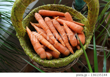 Vegetable Storage. Decor Plant Leaves Over Woven Basket With Raw Young Carrots  136135144