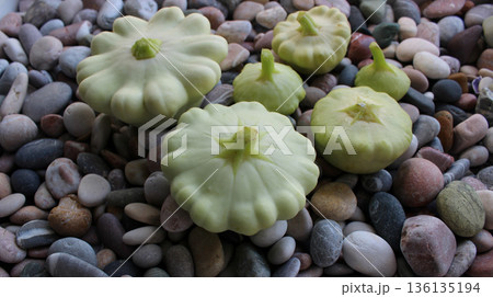 Fresh Ripe Summer Squash Vegetables Lying On A Sea Pebbles Detailed Stock Photo Fresh Ripe Summer Squash Vegetables Lying On A Sea Pebbles Detailed Stock Photo 136135194