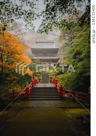 雨の日の雲巌寺の紅葉と山門 136135400