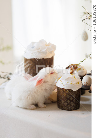 White bunny and Easter cakes with eggs on table, gentle hand, soft spring light 136135870