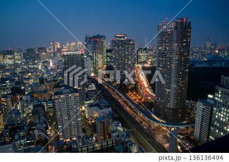 東京都　世界貿易センタービル　シーサイドトップから眺める夜景 136136494