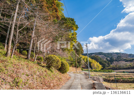 明日香村の冬の里山風景　奈良県 136136611