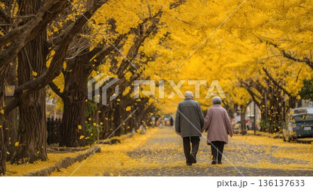 秋のイチョウ並木で手をつないで歩く老夫婦の後ろ姿3Dイラスト 136137633