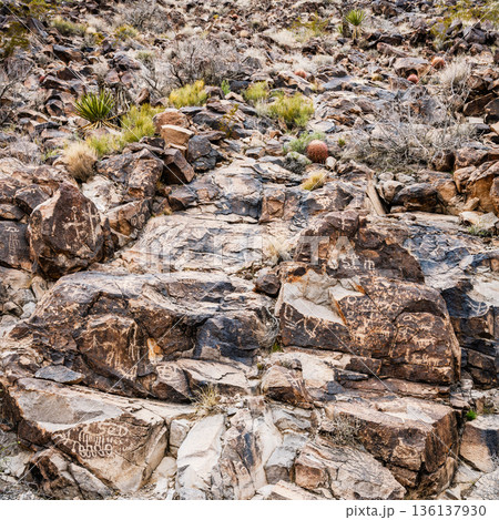 Petroglyph trail 136137930