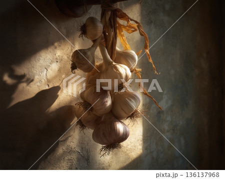 壁に吊るしたにんにくの編み束 静物 壁に吊るしたにんにくの編み束 静物 136137968