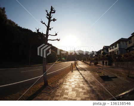 夕日に照らされる住宅街 夕日に照らされる住宅街 136138546