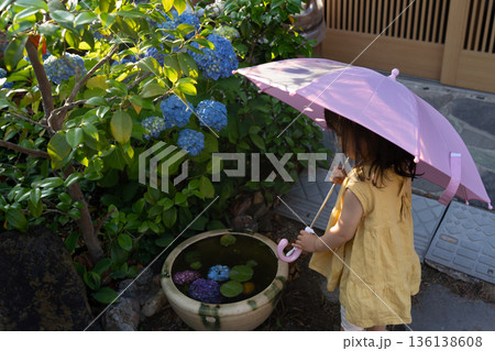 傘をもつ子供と雨に濡れる紫陽花 傘をもつ子供と雨に濡れる紫陽花 136138608