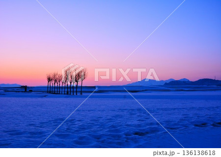 雪原のハサ木朝焼けの夜明け・越後三山冬景色 雪原のハサ木朝焼けの夜明け・越後三山冬景色 136138618