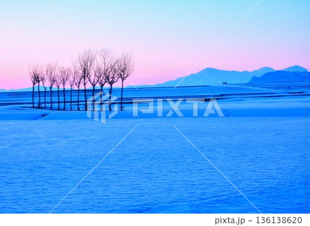 雪原のハサ木朝焼けの夜明け・越後三山冬景色 136138620