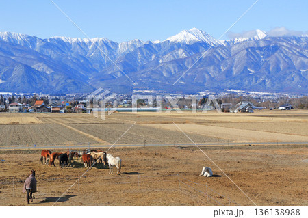 ホースランド安曇野の馬と北アルプス ホースランド安曇野の馬と北アルプス 136138988