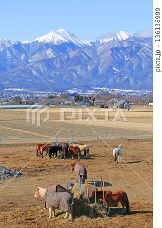 ホースランド安曇野の馬と北アルプス ホースランド安曇野の馬と北アルプス 136138990