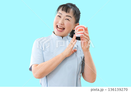 歯の模型と笑顔の女性 歯の模型と笑顔の女性 136139270