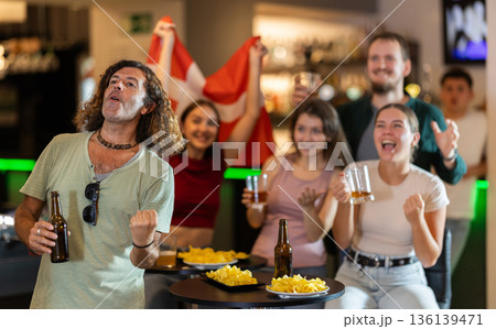 Group of fans in bar with Danish flag 136139471