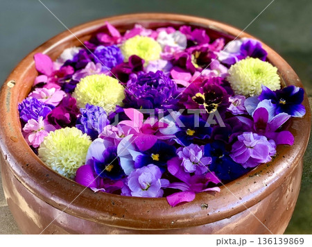 2月の花手水(オキザリス・スイトピー・パンジー・ピンポンマム)〈菅生神社/愛知県岡崎市〉 2月の花手水(オキザリス・スイトピー・パンジー・ピンポンマム)〈菅生神社/愛知県岡崎市〉 136139869